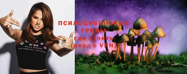 гидра Богородск