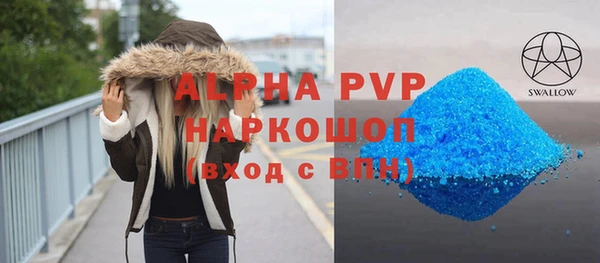 гидра Богородск
