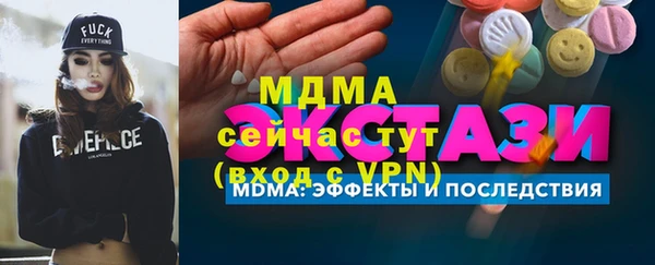 гидра Богородск