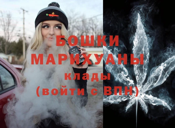 гидра Богородск