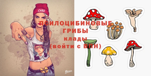 ГАЛЛЮЦИНОГЕННЫЕ ГРИБЫ Богородицк