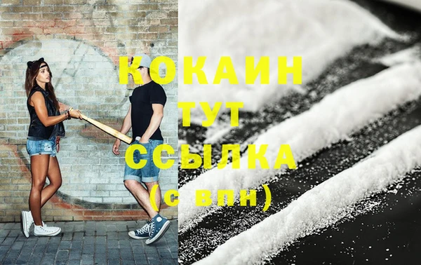 гидра Богородск
