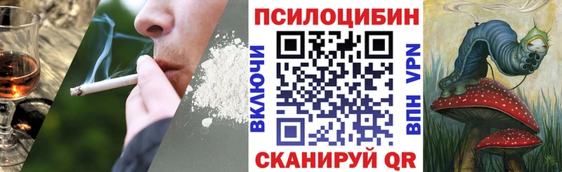 Псилоцибиновые грибы Magic Shrooms  Верхотурье 
